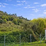 Galamares Nest
