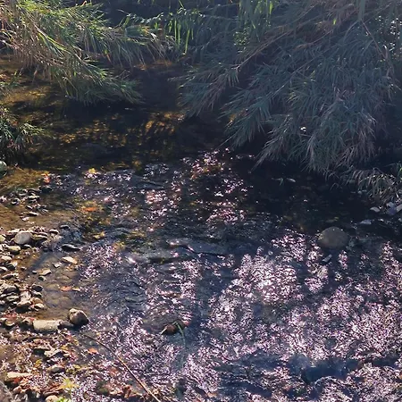 Nyaraló Galamares Nest *