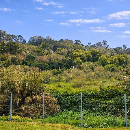 Nyaraló Galamares Nest