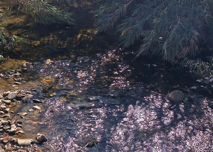 Hébergement de vacances Galamares Nest *
