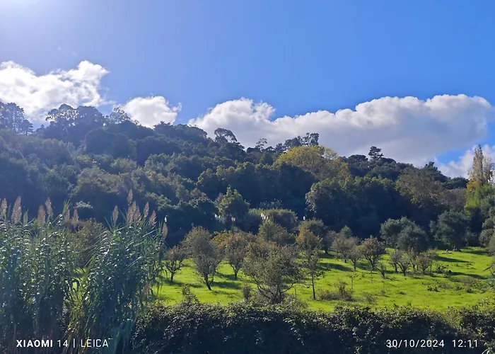 Feriehus Galamares Nest